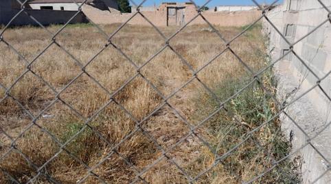 Finca rústica en venta en Camino Ermita San Isidro, 7, Pesquera de Duero, Valladolid - imagen 5 Foto 5 de Finca rústica en venta en Camino Ermita San Isidro, 7, Pesquera de Duero, Valladolid