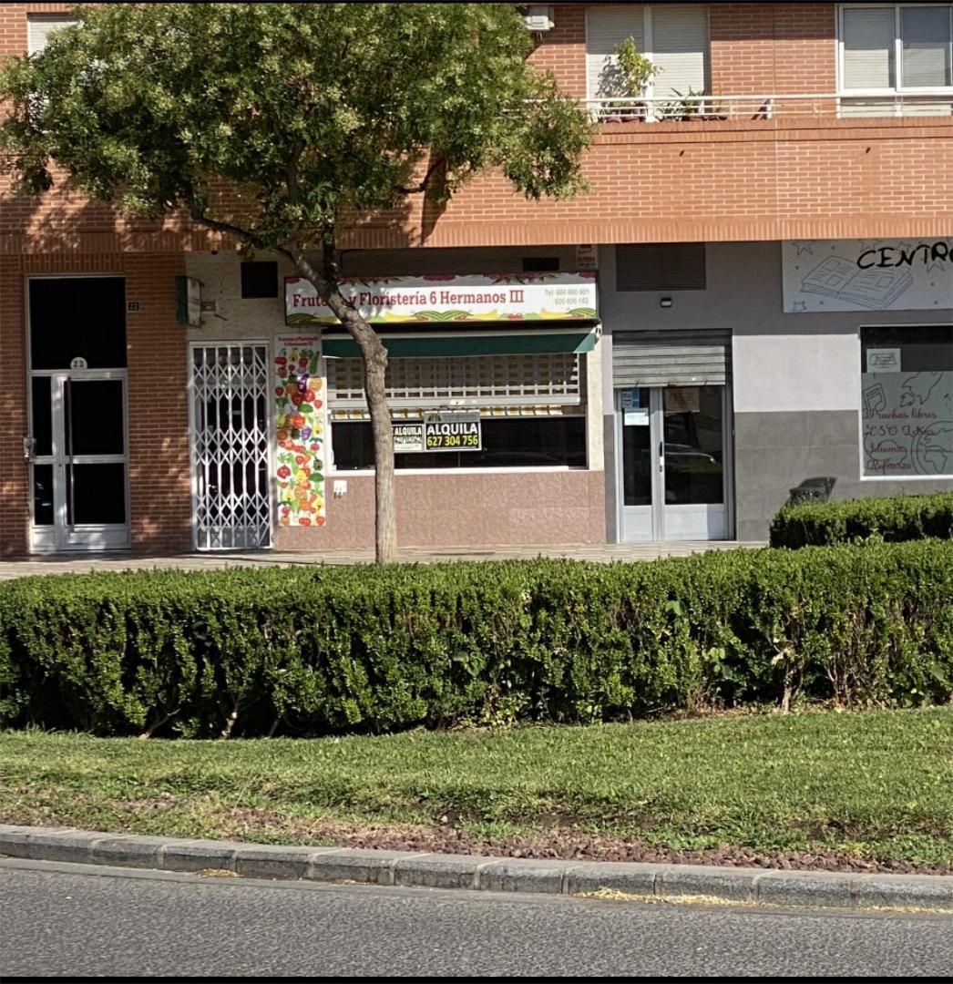 Local de alquiler en Calle Vereda de Jaén, 20, Santa Teresa - Vereda