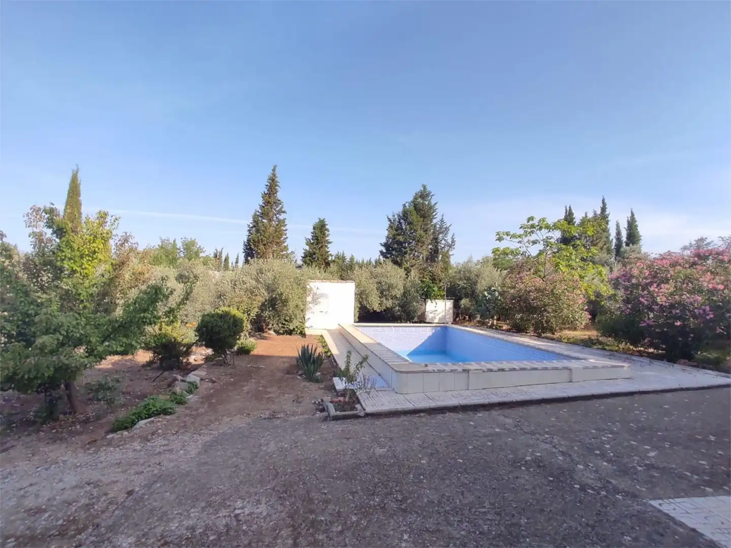 Casa o xalet en venda a Calle L, 5, San Roque - La Cruz - La Rozuela Piscina de Casa o xalet en venda en Linares amb Calefacció, Jardí privat i Terrassa