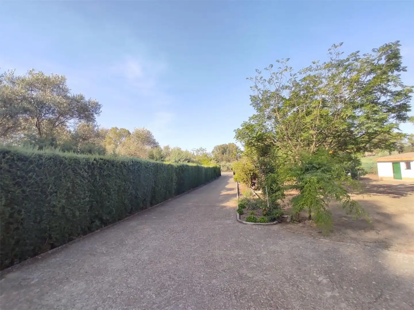 Casa o xalet en venda a Calle L, 5, San Roque - La Cruz - La Rozuela Jardí de Casa o xalet en venda en Linares amb Calefacció, Jardí privat i Terrassa