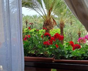 Garden of Flat for sale in Elche / Elx  with Air Conditioner, Heating and Private garden