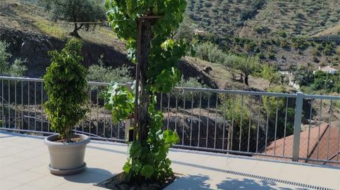 Foto 5 de Casa o chalet de alquiler en Diseminado Diseminados, 48, Arenas, Málaga