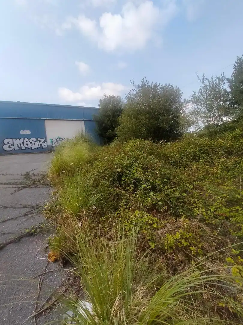 Nau industrial en venda a Montellos, 40, Betanzos Nau industrial en venda en Betanzos