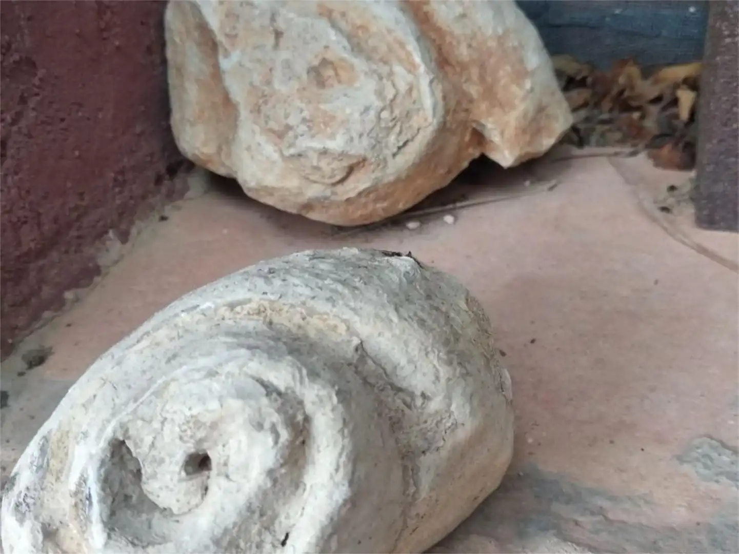 Jardín de Terreno en venta en Vilafamés