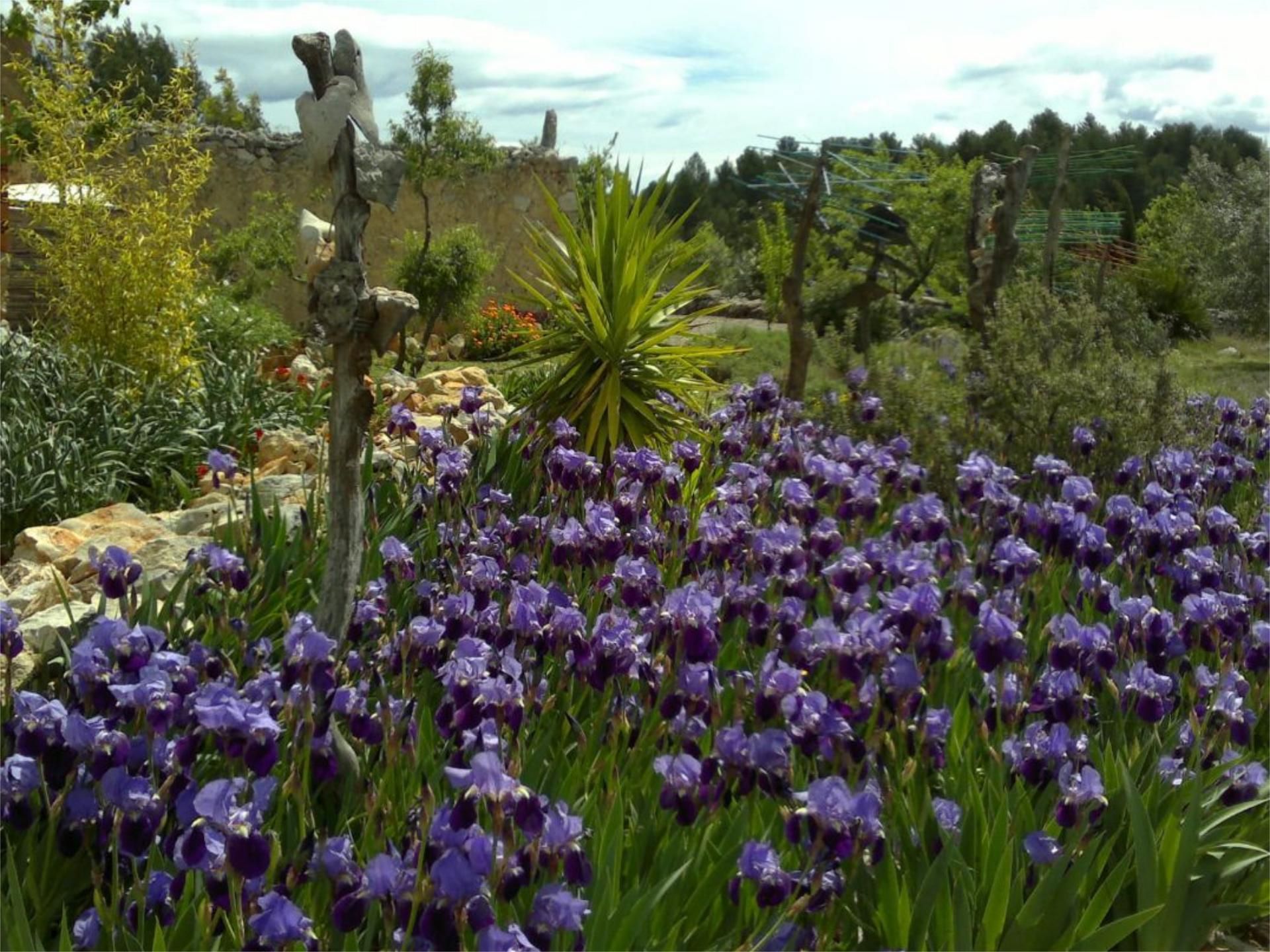 Garden of Land for sale in Vilafamés