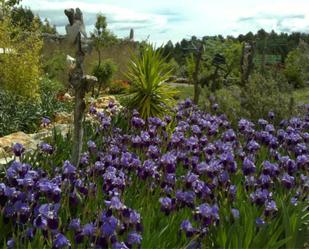 Garten von Grundstücke zum verkauf in Vilafamés