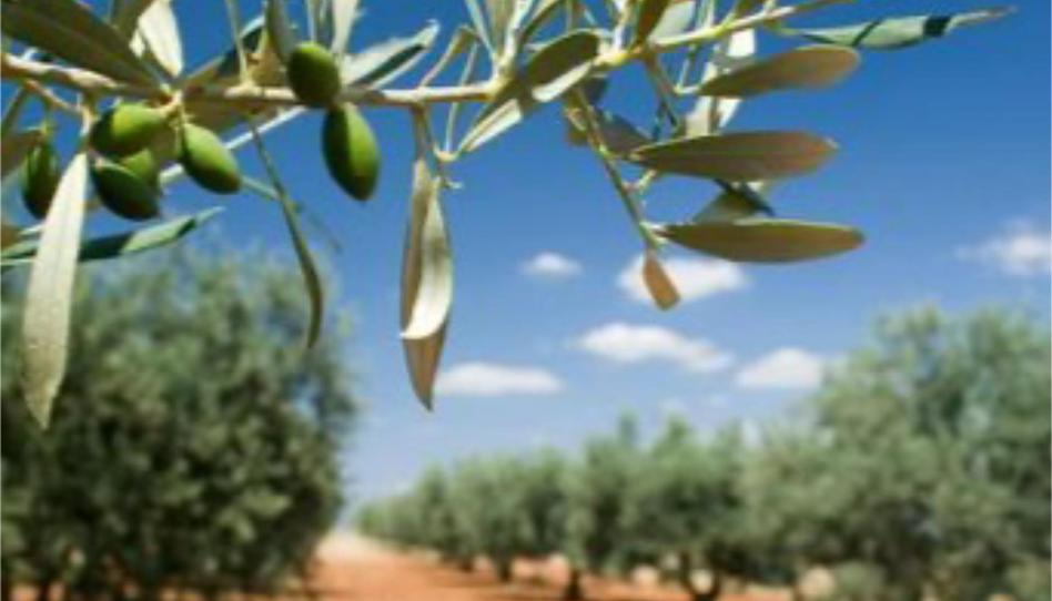 Land for sale in Calle Mengibar, 3, Hospital, Jaén Capital - image 1 Photo 1 of Land for sale in Calle Mengibar, 3, Hospital, Jaén Capital