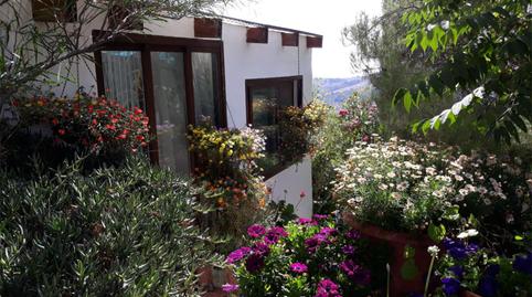 Foto 5 de Finca rústica en venda a Murtas, Granada