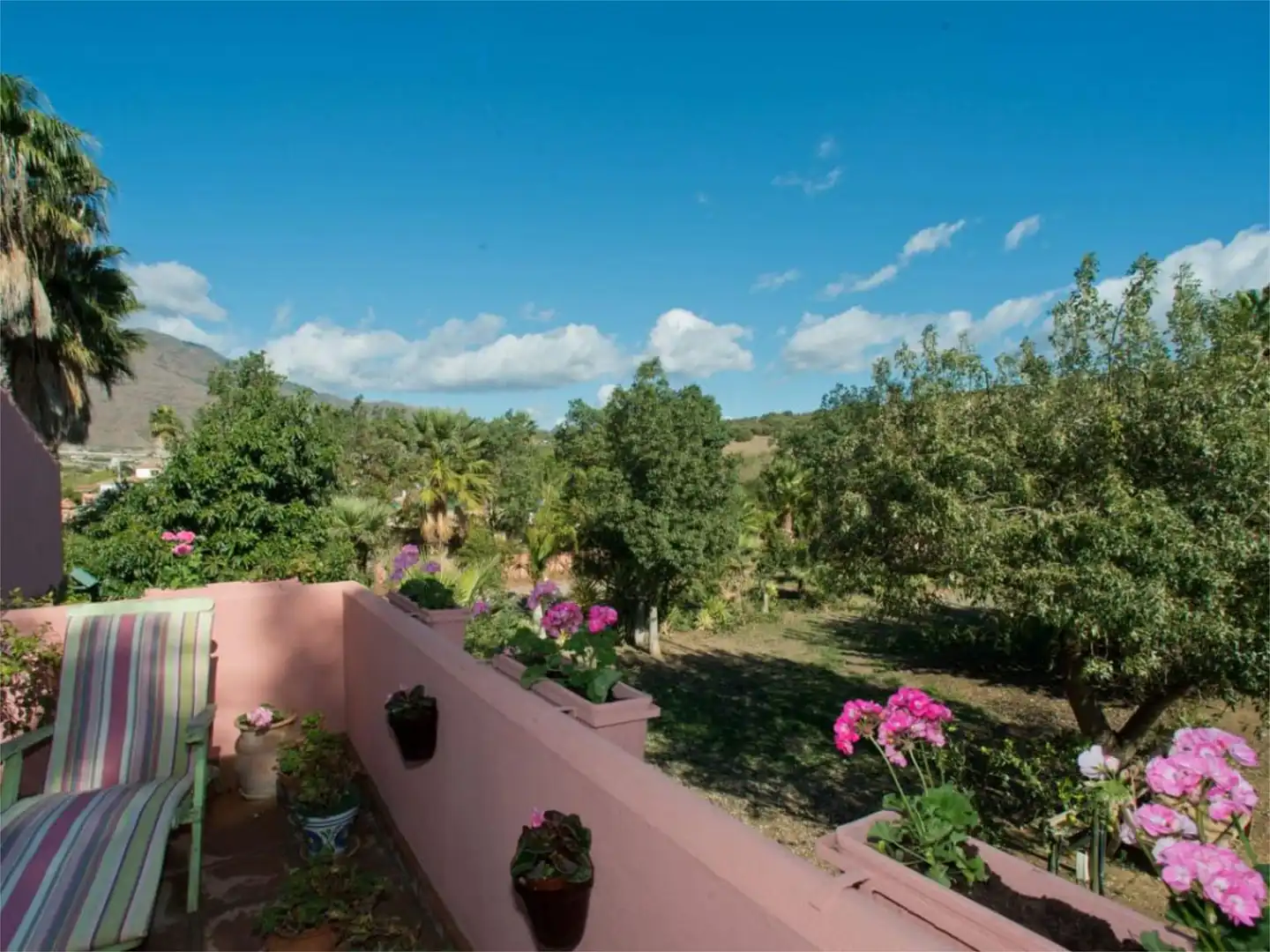 Finca rústica en venta en Calle Concepción, 7, Centro Jardín de Finca rústica en venta en Estepona