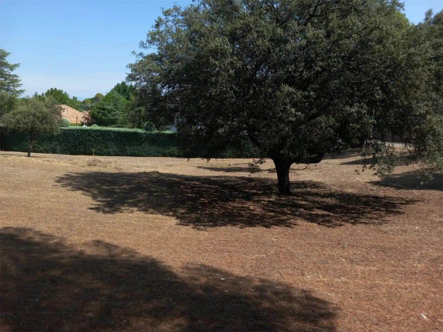 Terreno en venta en Calle Pedraza, 156, Castillo Campodón Terreno en venta en Villaviciosa de Odón