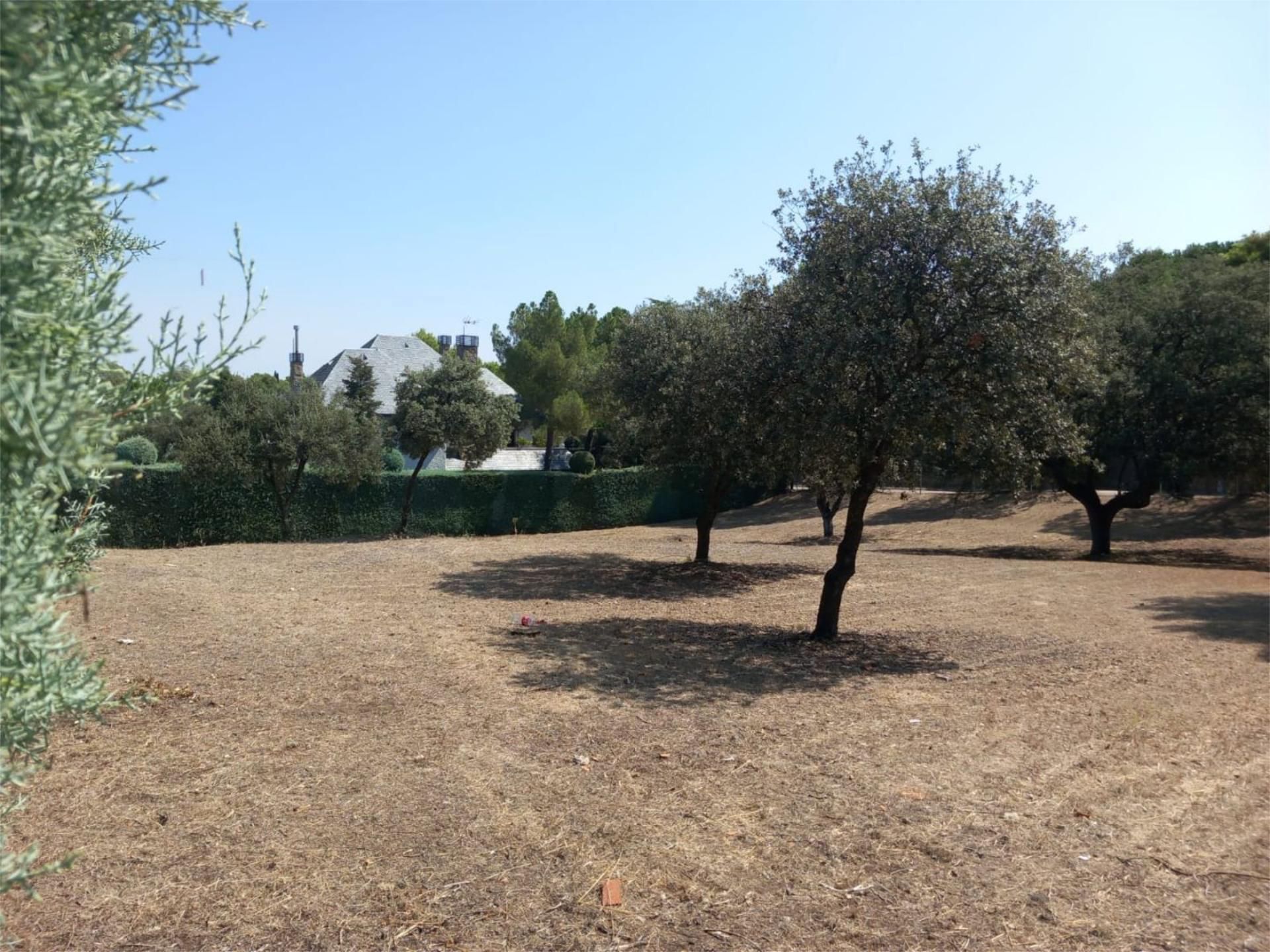 Land for sale in Villaviciosa de Odón