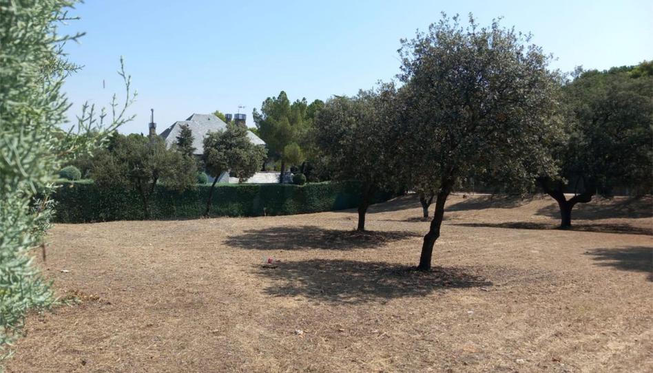 Land for sale in Calle Pedraza, 156, Castillo Campodón, Madrid - image 1 Photo 1 of Land for sale in Calle Pedraza, 156, Castillo Campodón, Madrid