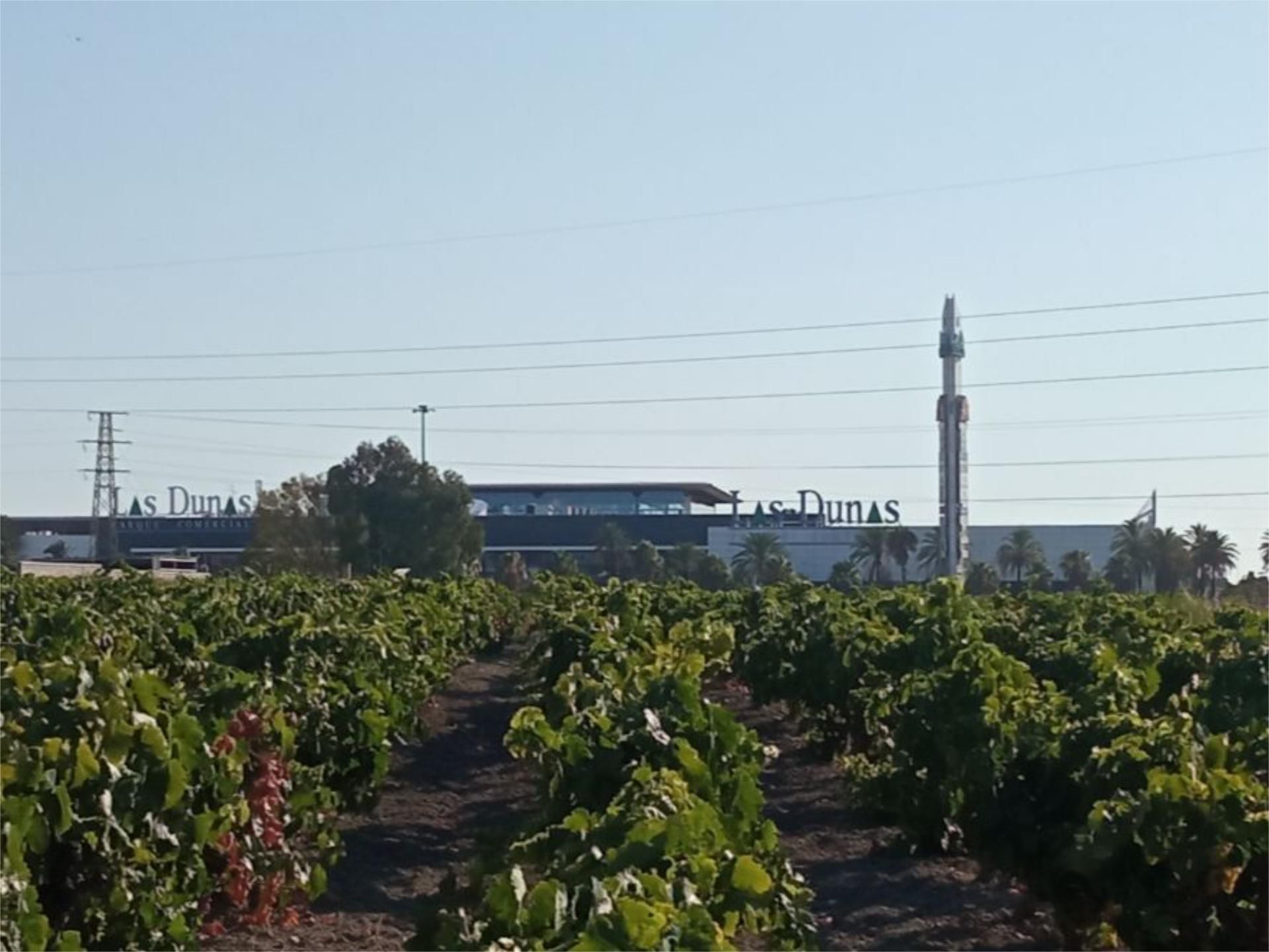 Exterior view of Land for sale in Sanlúcar de Barrameda