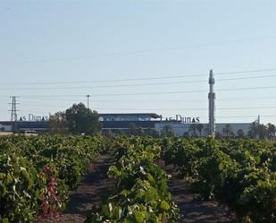 Exterior view of Land for sale in Sanlúcar de Barrameda