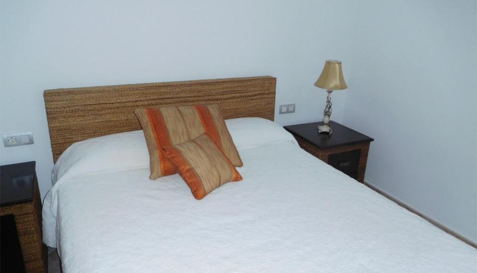 Pis de lloguer a Carretera General Punta del Hidalgo, 113, Punta del Hidalgo, Santa Cruz de Tenerife - imatge 1 Foto 1 de Pis de lloguer a Carretera General Punta del Hidalgo, 113, Punta del Hidalgo, Santa Cruz de Tenerife