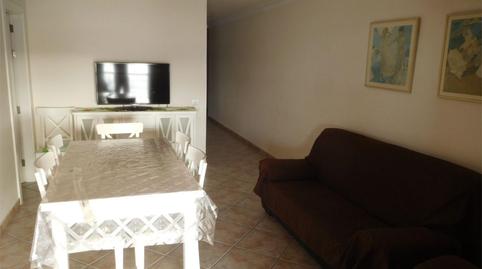 Pis de lloguer a Carretera General Punta del Hidalgo, 113, Punta del Hidalgo, Santa Cruz de Tenerife - imatge 3 Foto 3 de Pis de lloguer a Carretera General Punta del Hidalgo, 113, Punta del Hidalgo, Santa Cruz de Tenerife