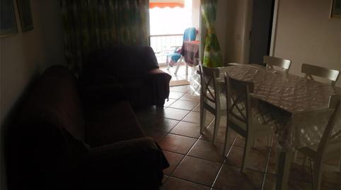 Pis de lloguer a Carretera General Punta del Hidalgo, 113, Punta del Hidalgo, Santa Cruz de Tenerife - imatge 5 Foto 5 de Pis de lloguer a Carretera General Punta del Hidalgo, 113, Punta del Hidalgo, Santa Cruz de Tenerife