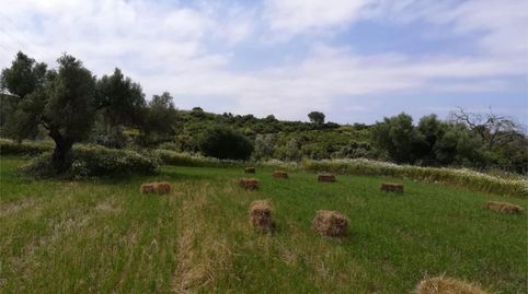 Foto 4 von Grundstücke zum Verkauf in Carretera del Marquesado, 80, La Banda - Campo de Fútbol, Chiclana de la Frontera
