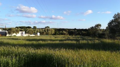Foto 2 von Grundstücke zum Verkauf in Carretera del Marquesado, 80, La Banda - Campo de Fútbol, Chiclana de la Frontera