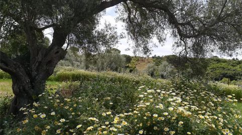 Foto 3 von Grundstücke zum Verkauf in Carretera del Marquesado, 80, La Banda - Campo de Fútbol, Chiclana de la Frontera