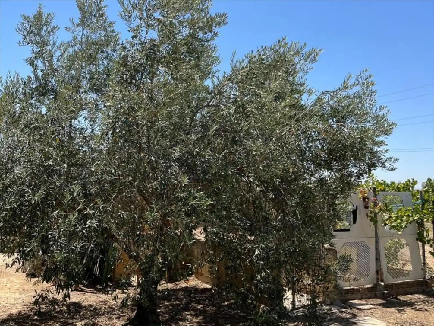 Garten von Nicht bebaubares Gelände zum Verkauf in Córdoba