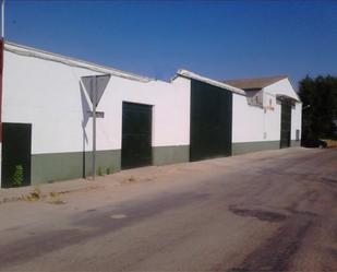 Exterior view of Industrial buildings for sale in Argamasilla de Alba