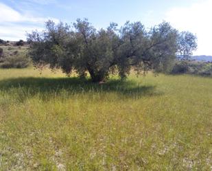 Land for sale in Lucainena de las Torres