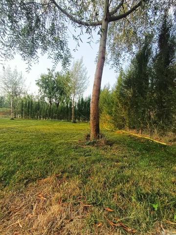 Terreno en Venta en Calle Maria de Aragon, 7 en Borja