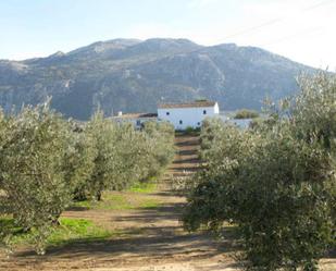 Vista exterior de Finca rústica en venda en Antequera amb Terrassa, Piscina i Balcó