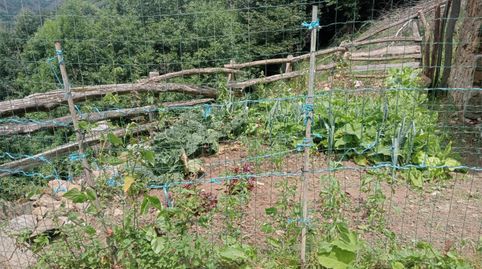 Foto 3 de Finca rústica en venda a Lugar Llamas, 26, Aller, Asturias