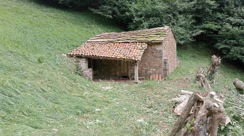 Foto 5 de Finca rústica en venda a Lugar Llamas, 26, Aller, Asturias