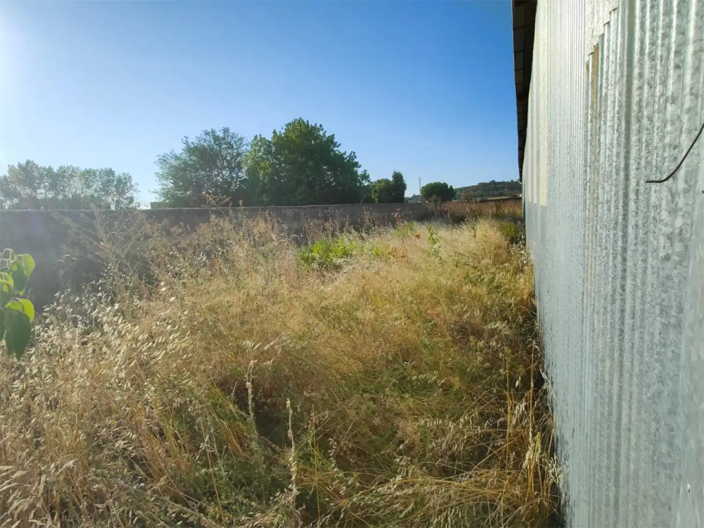 Land for sale in Montijo