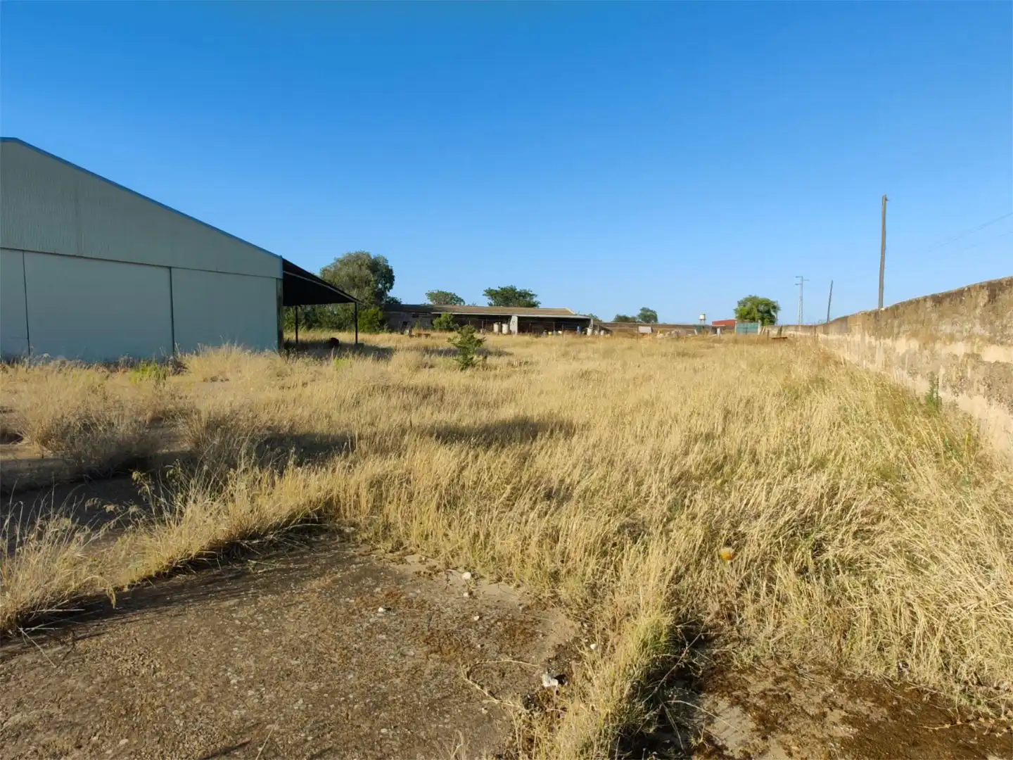 Land for sale in Montijo