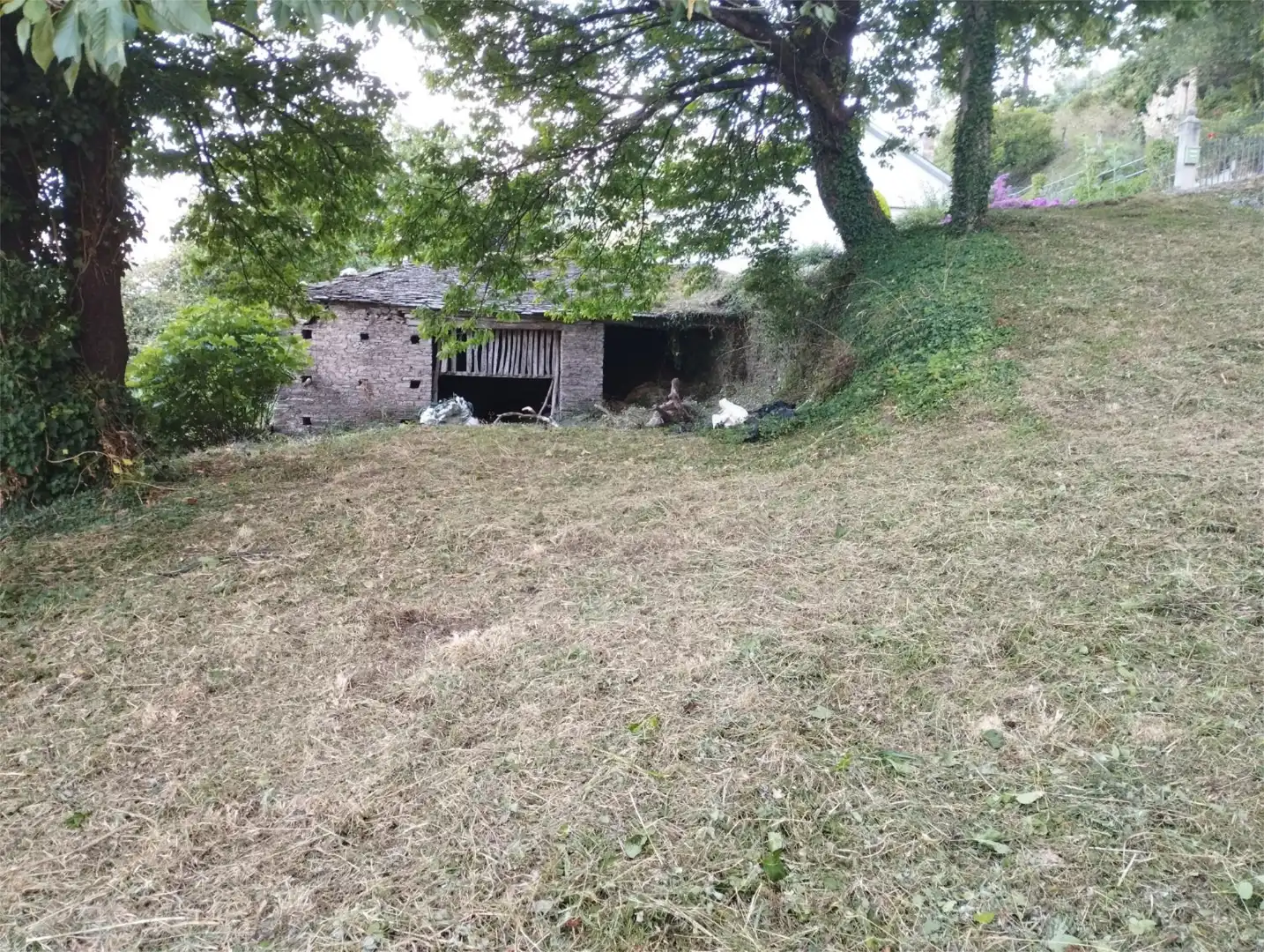 Houses for sale in San Tirso de Abres