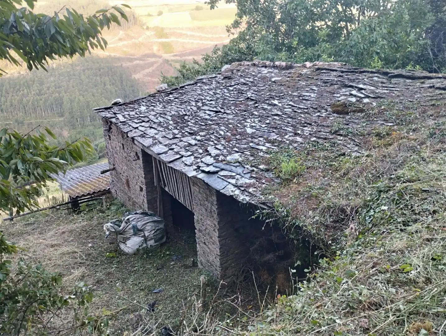 Exterior view of Houses for sale in San Tirso de Abres