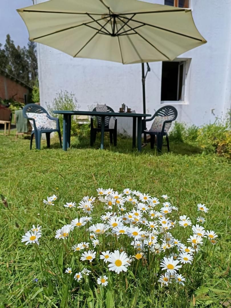 Jardí de Casa o xalet en venda en Cerdido