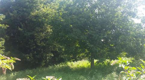 Photo 3 of Land for sale in Rúa Fonte Figueirido, 15, Sobradelo, Pontevedra