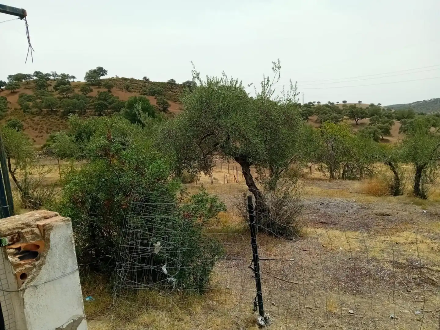 Finca rústica en venta en Calle Bartolome Gomez, 13, El Castillo de las Guardas Finca rústica en venta en El Castillo de las Guardas con Piscina