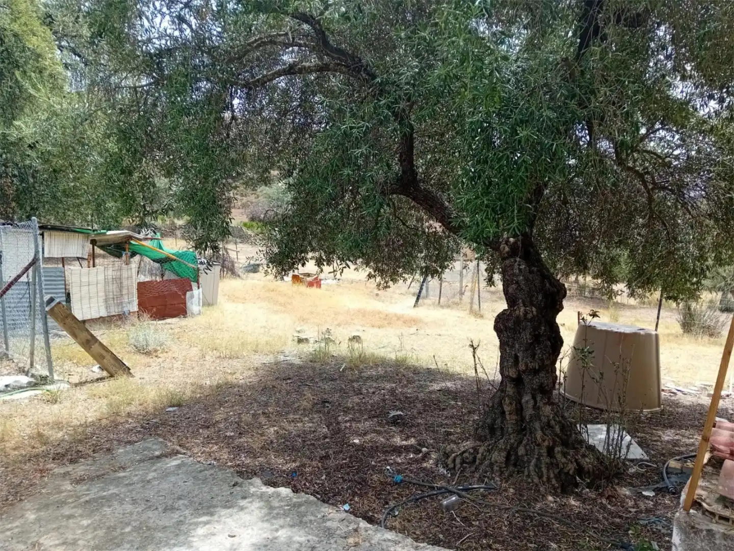 Finca rústica en venta en Calle Bartolome Gomez, 13, El Castillo de las Guardas Finca rústica en venta en El Castillo de las Guardas con Piscina