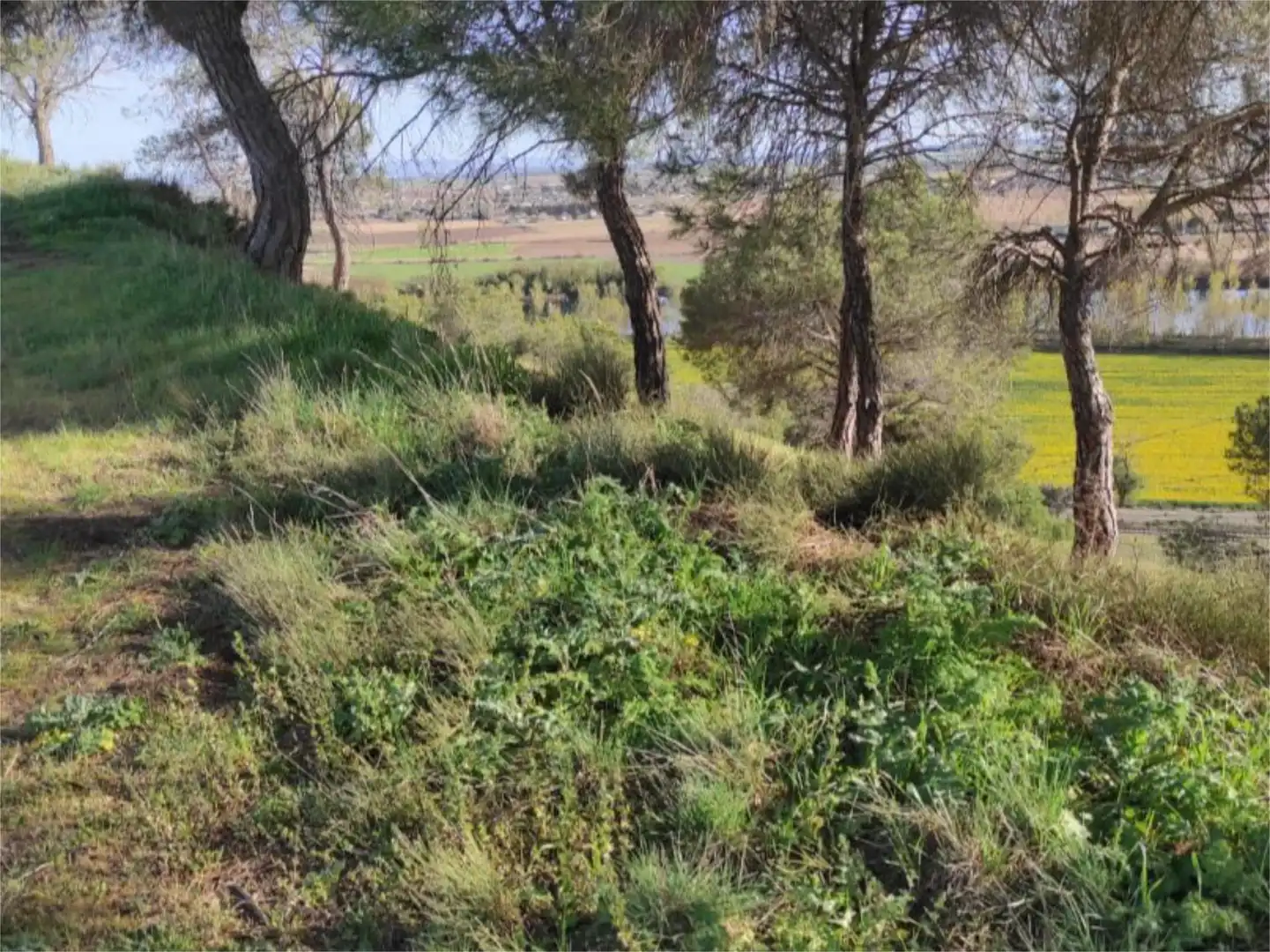 Terreno en venta en Diseminado, 14, Cabrerizos Terreno en venta en Cabrerizos