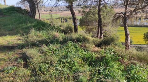 Foto 2 de Terreno en venta en Diseminado, 14, Cabrerizos, Salamanca