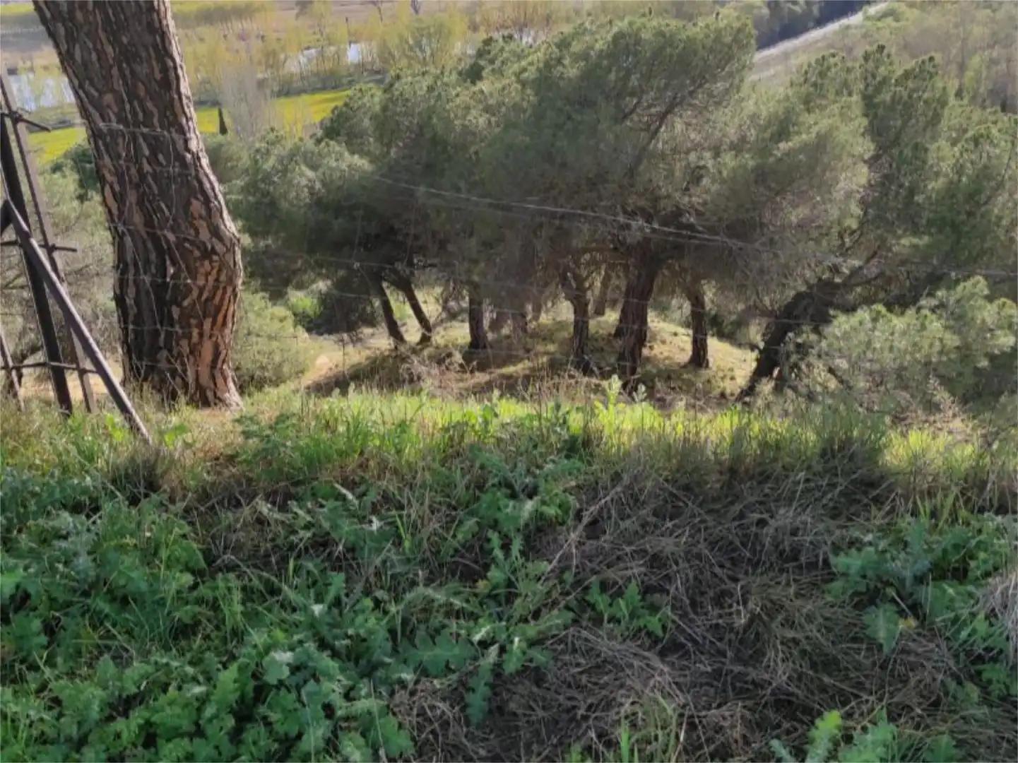 Terreno en venta en Diseminado, 14, Cabrerizos Terreno en venta en Cabrerizos