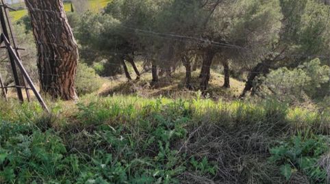 Foto 5 de Terreno en venta en Diseminado, 14, Cabrerizos, Salamanca