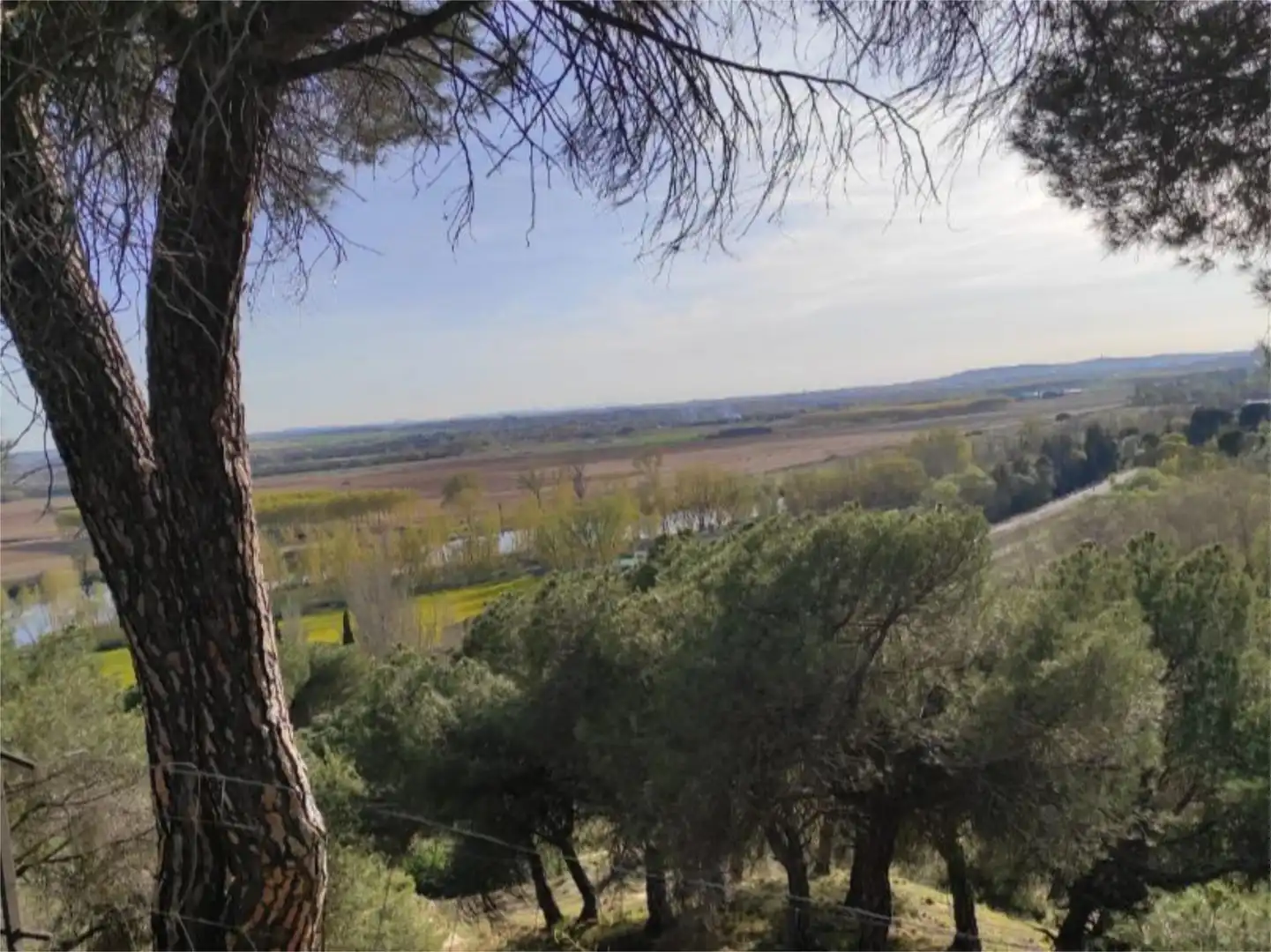 Terreno en venta en Diseminado, 14, Cabrerizos Terreno en venta en Cabrerizos