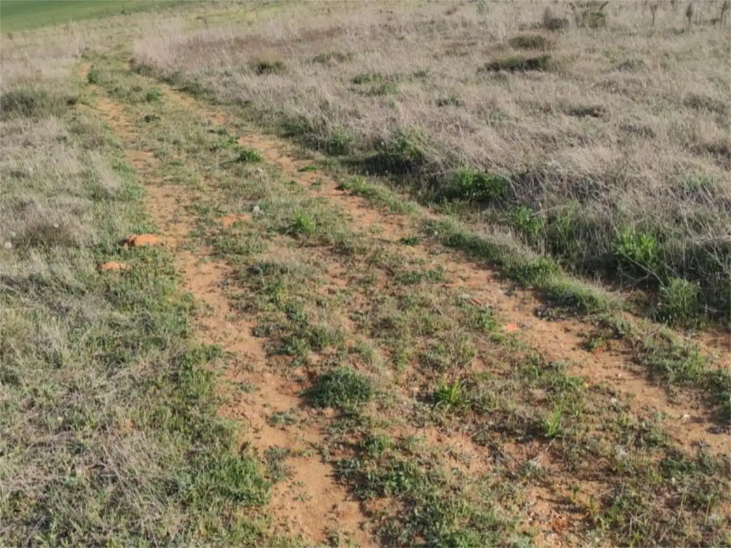 Terreno en venta en Diseminado, 14, Cabrerizos Terreno en venta en Cabrerizos