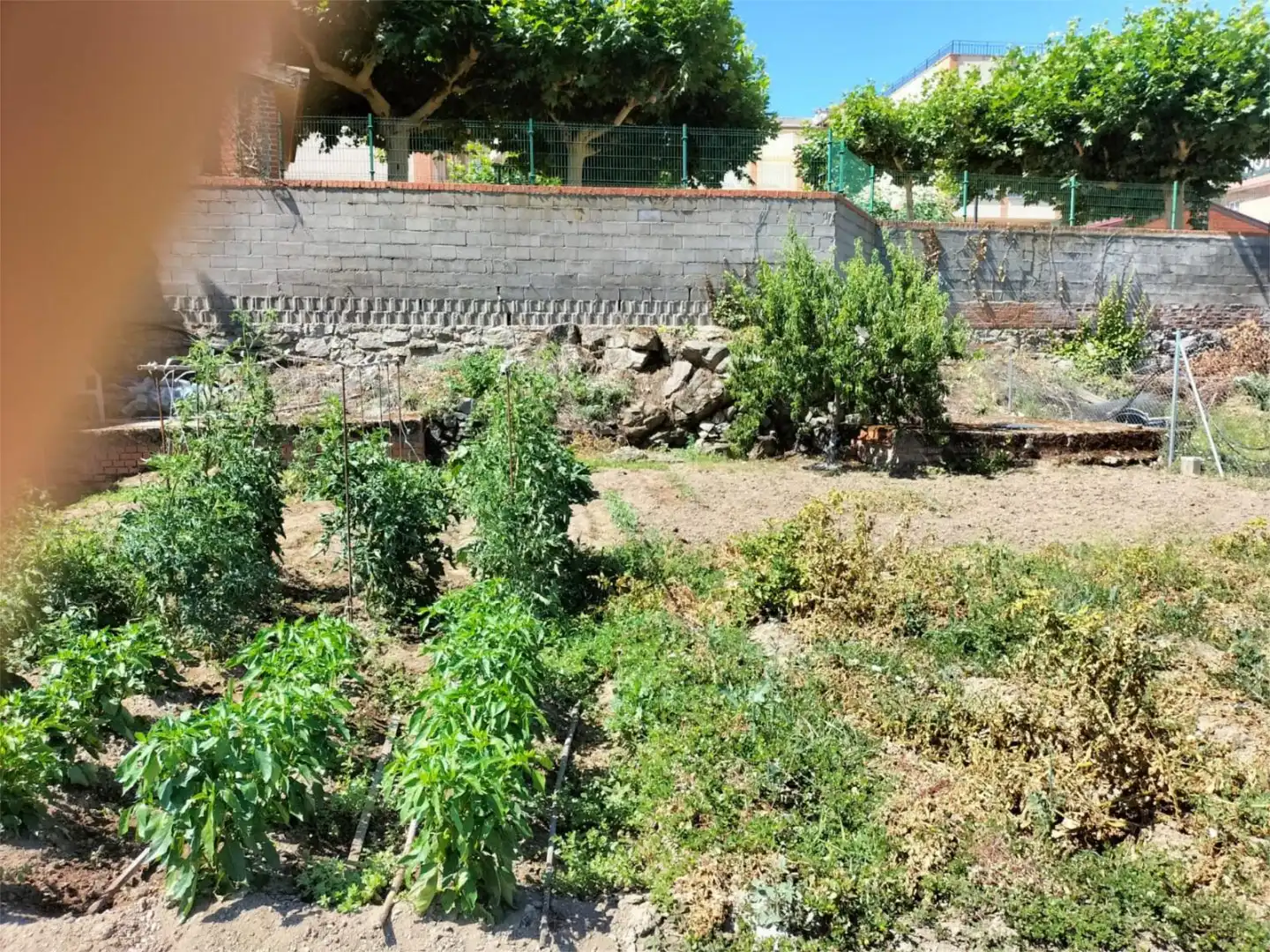 Constructible Land for sale in Calle Rosas, 34, El Tiemblo Garden of Constructible Land for sale in El Tiemblo