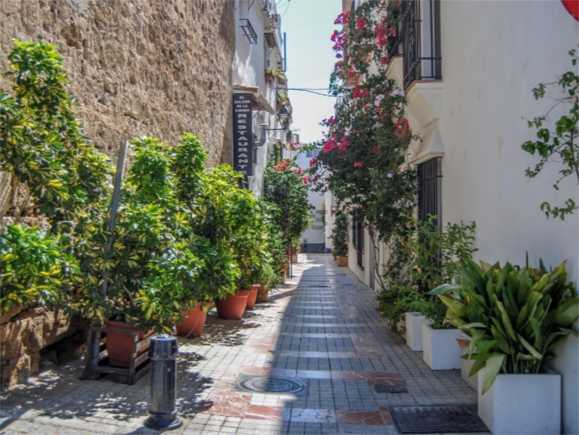 Vista exterior de Casa adosada en venda en Marbella amb Terrassa i Balcó