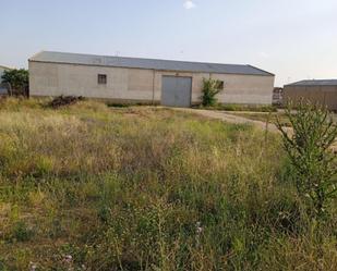 Planta baixa en venda en Iniesta