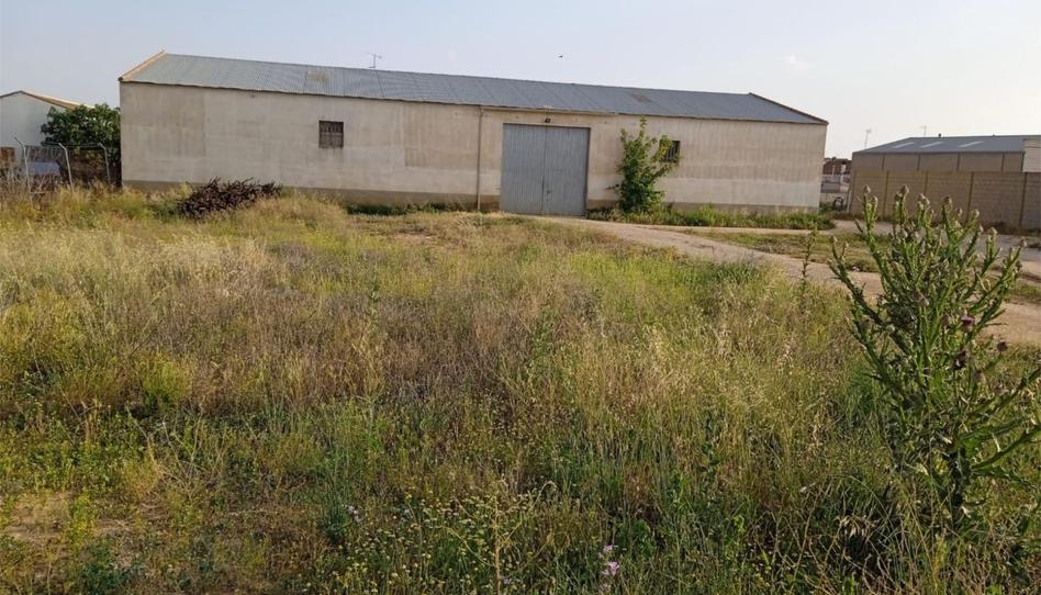 Planta baixa en venda a Iniesta, Cuenca - imatge 1 Foto 1 de Planta baixa en venda a Iniesta, Cuenca