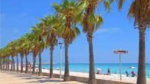 Foto 4 de Garatge de lloguer a Carrer Núñez de Balboa, 6, Alcanar, Tarragona